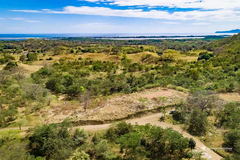 Land in Canas - photo 9