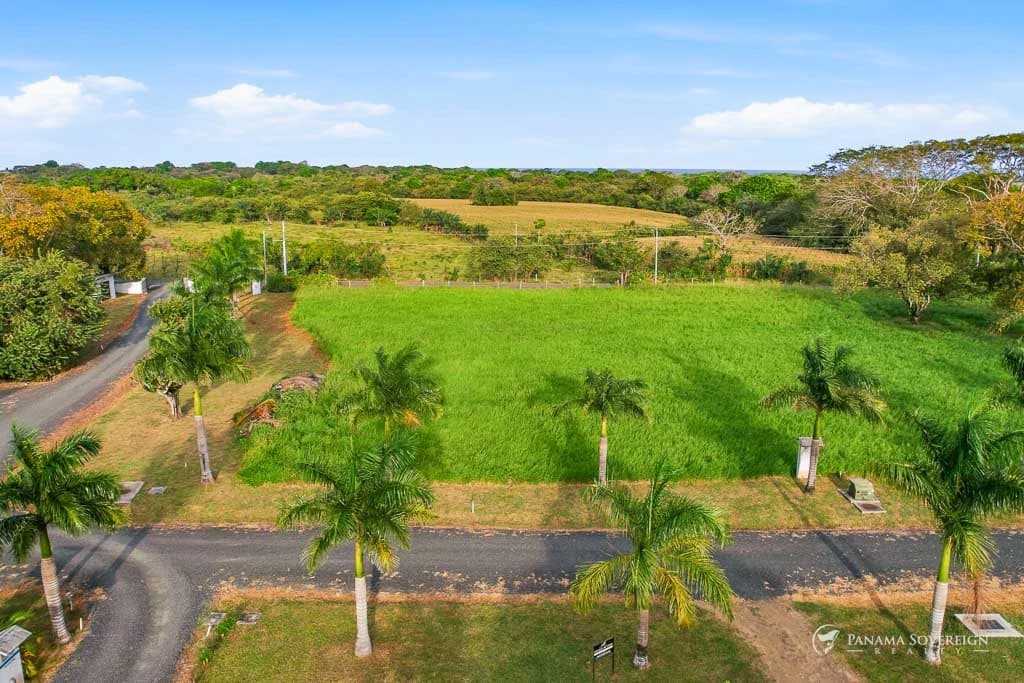 Land in Pedasi - photo 16
