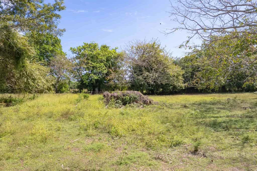 Land in Pedasi - photo 12