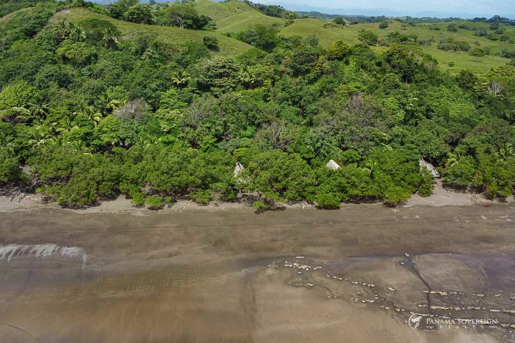 Land in Guanico - photo 13