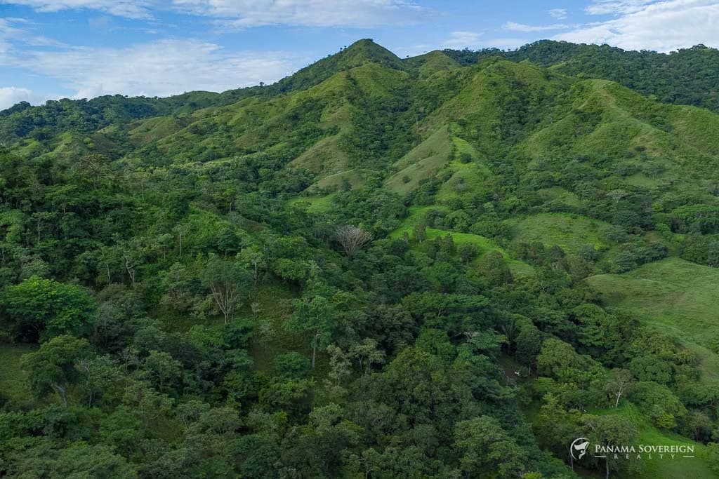 Land in Cambutal - photo 1