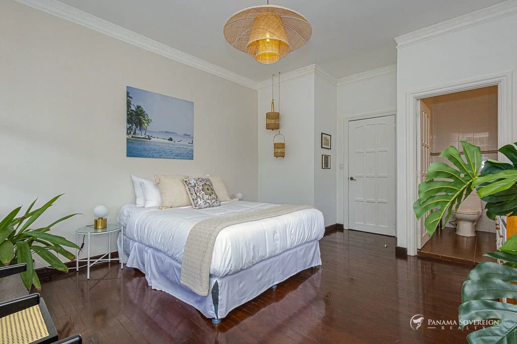 4 Bedroom House in Canal Zone - photo 21