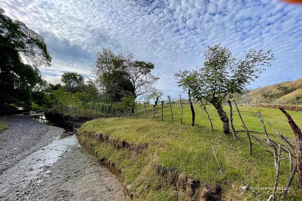 Land in Cambutal - photo 5