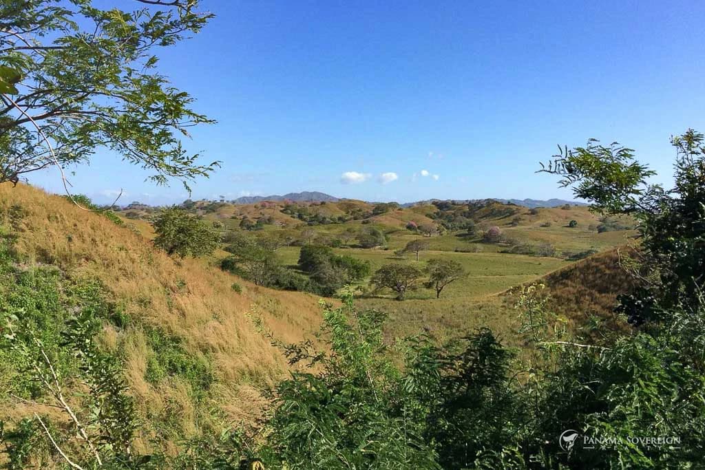 Land in Guanico - photo 3