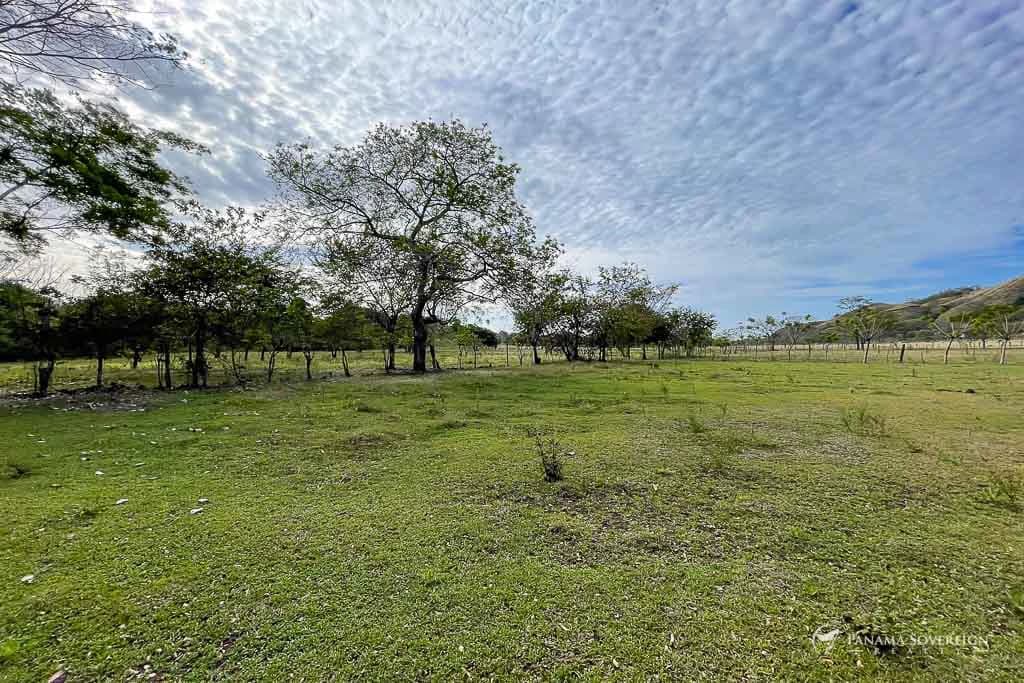 Land in Cambutal - photo 10