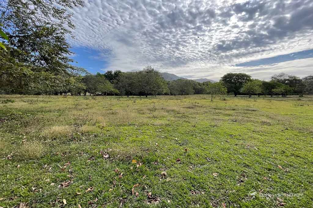 Land in Cambutal - photo 8