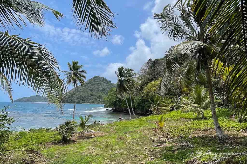 Land in Colon - photo 7