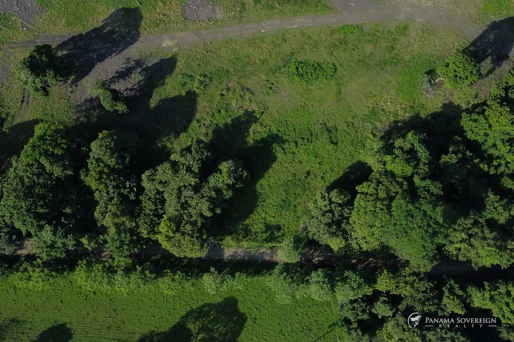 Land in Cambutal - photo 6