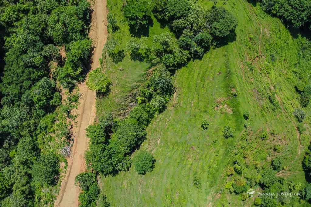 Land in Cambutal - photo 8