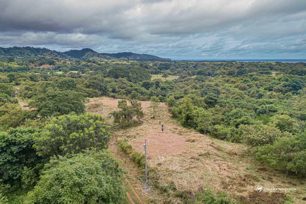 Land in Canas - photo 18