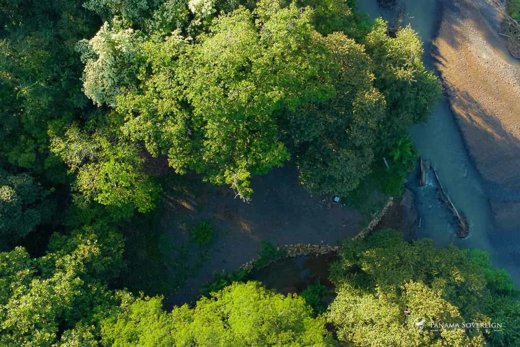 Land in Guanico - photo 10
