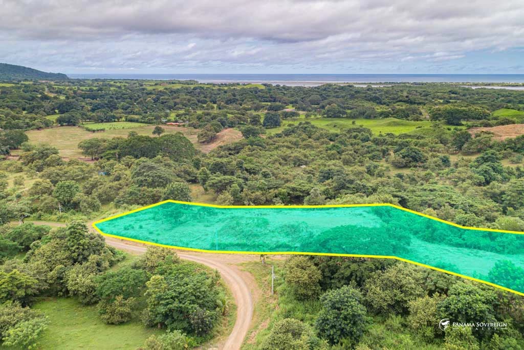 Land in Canas - photo 4