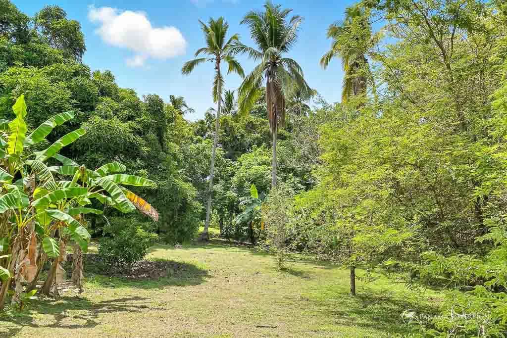 3 Bedroom House in San Carlos - photo 10