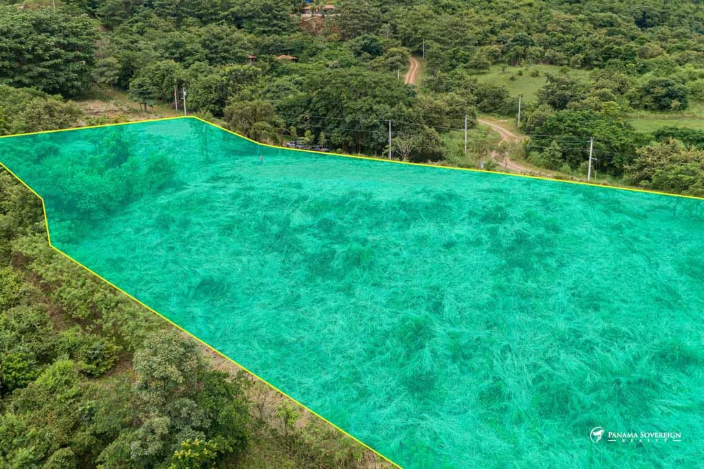 Land in Canas - photo 14
