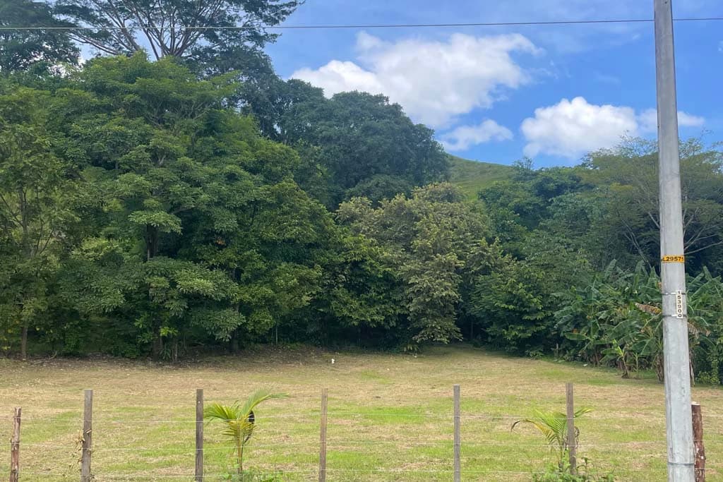 Land in Cambutal - photo 3