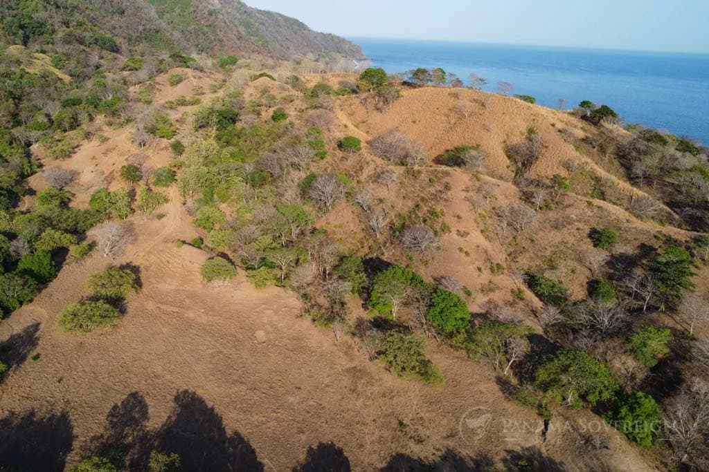 Land in Cambutal - photo 11