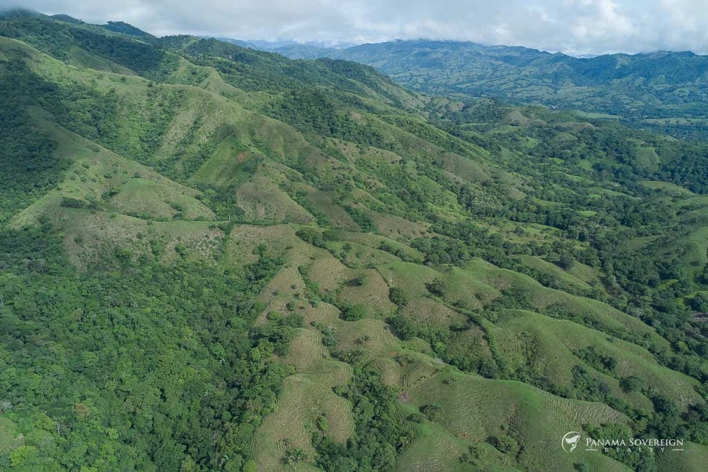 Land in Cambutal - photo 5