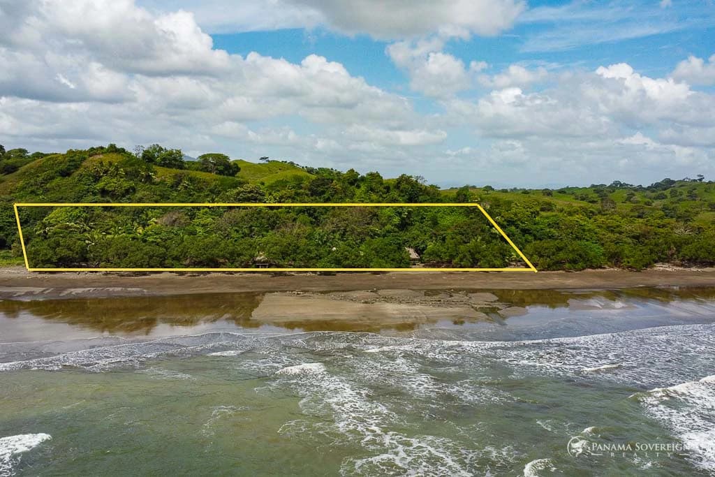 Land in Guanico - photo 8