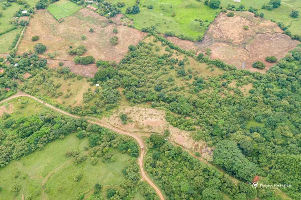 Land in Canas - photo 5