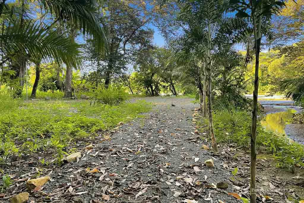 Land in Guanico - photo 9