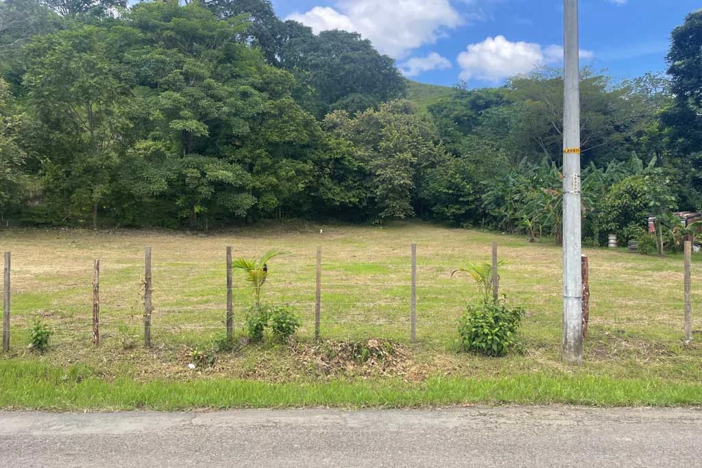 Land in Cambutal - photo 4