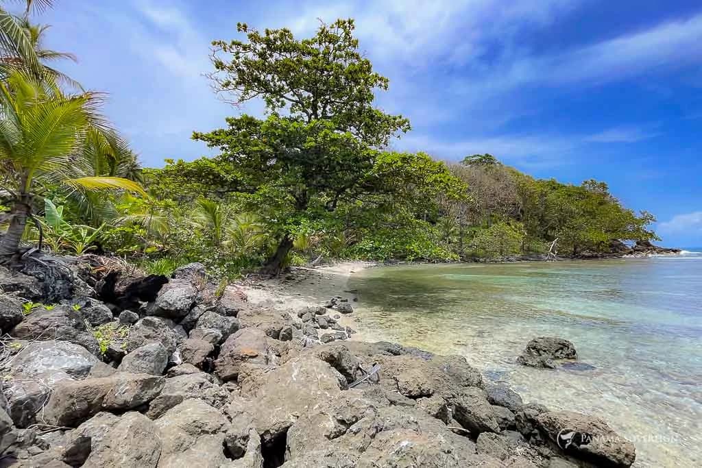 Land in Colon - photo 15
