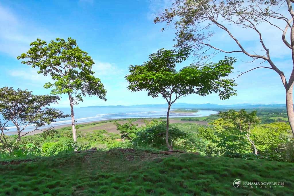 Land in Canas - photo 5