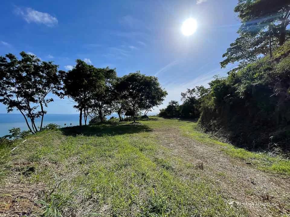 Land in Bucaro - photo 12