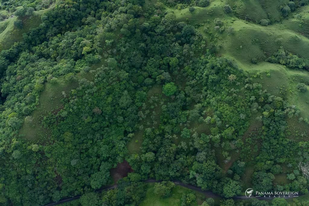 Land in Cambutal - photo 5
