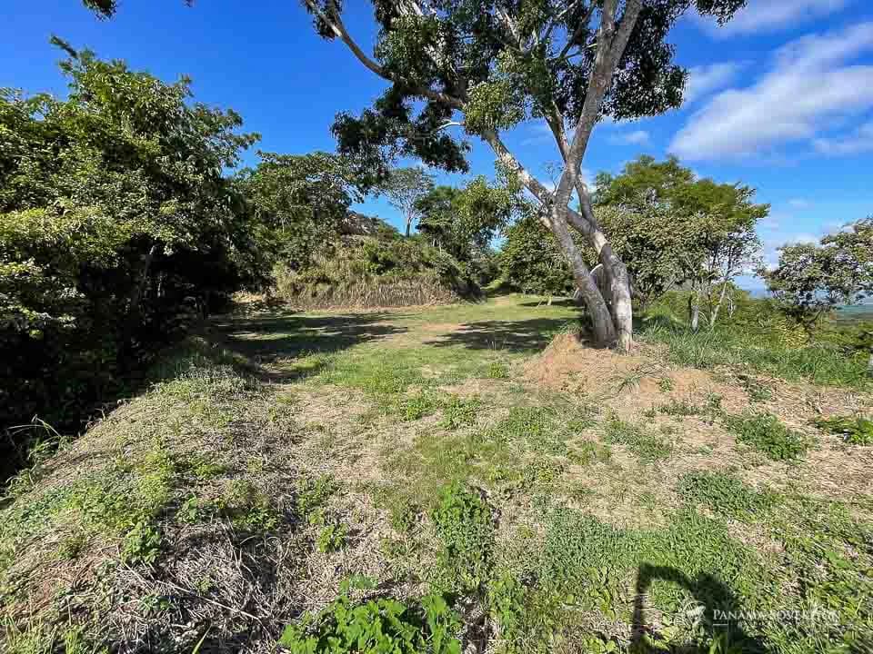 Land in Bucaro - photo 17