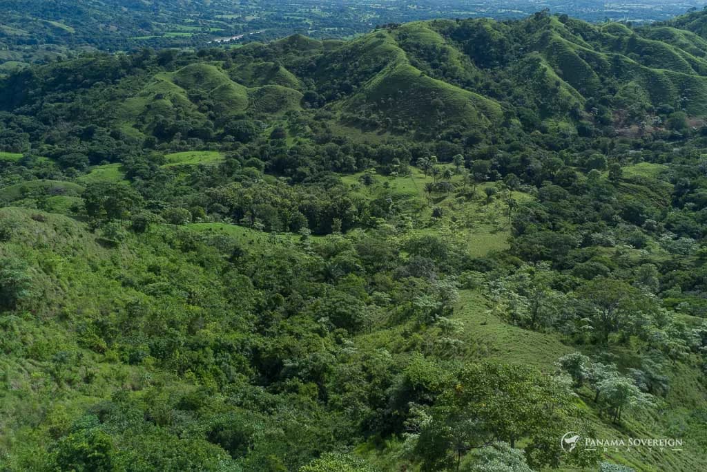 Land in Cambutal - photo 1