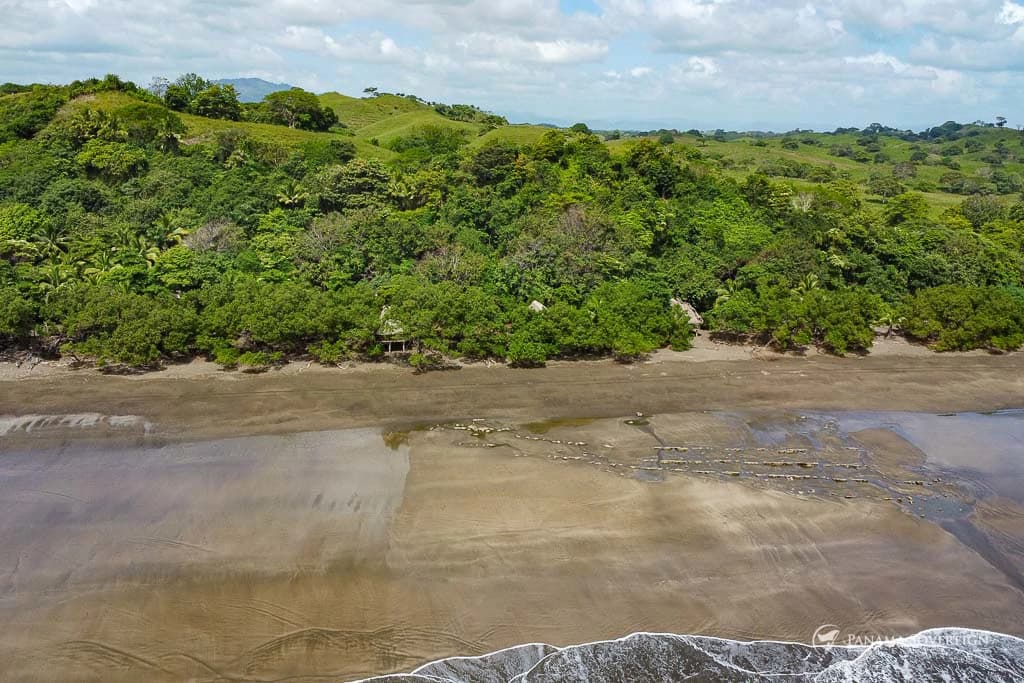 Land in Guanico - photo 14