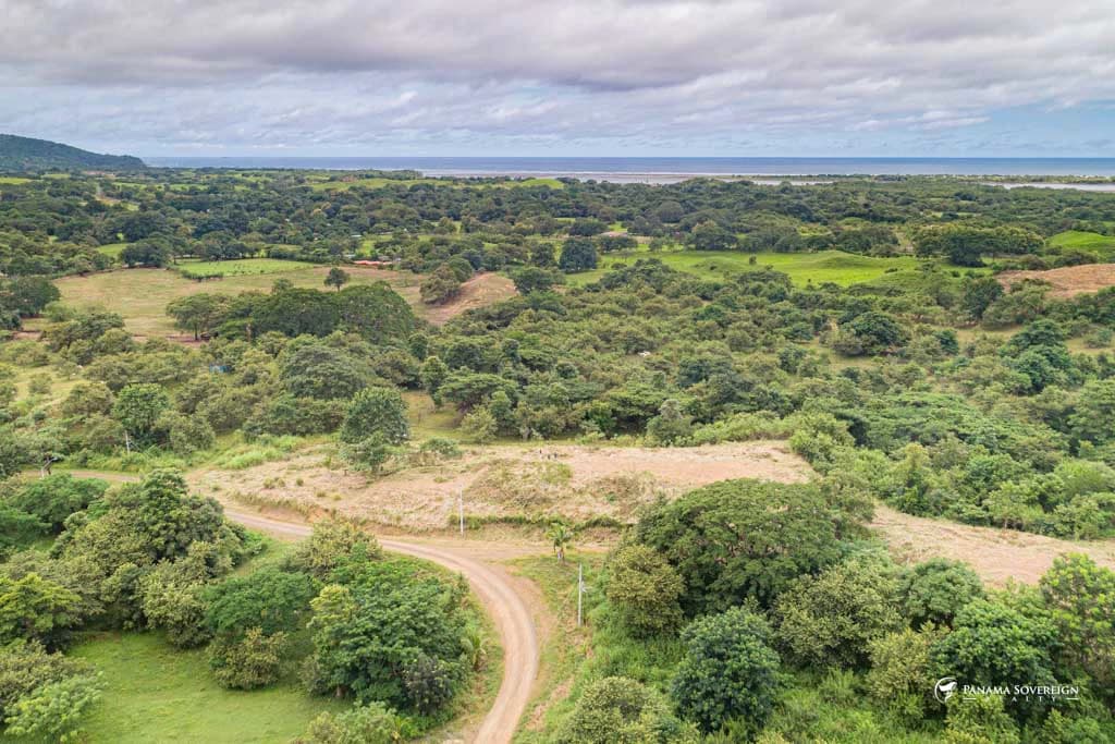 Land in Canas - photo 3