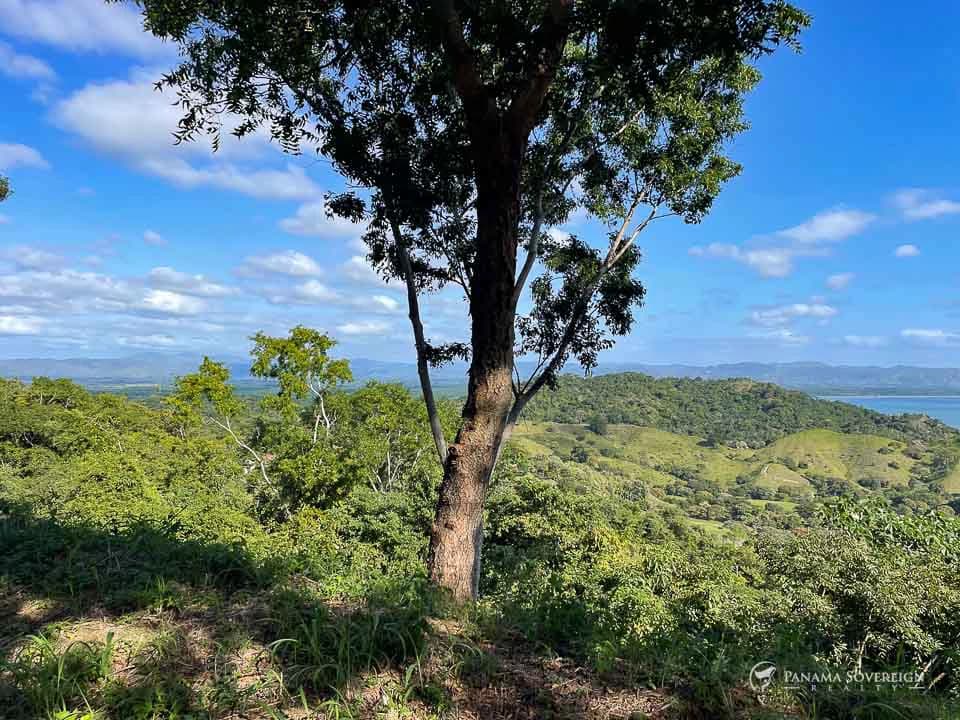 Land in Bucaro - photo 15