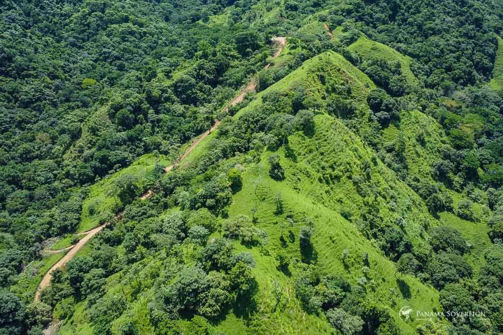 Land in Cambutal - photo 26