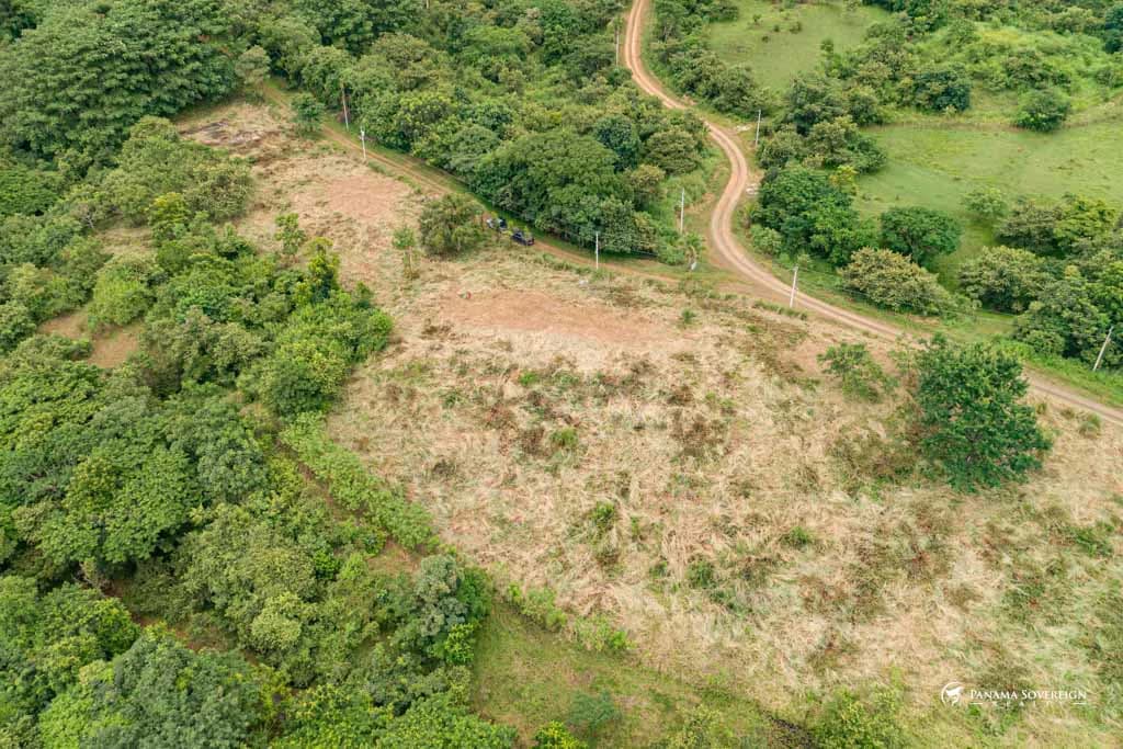Land in Canas - photo 16