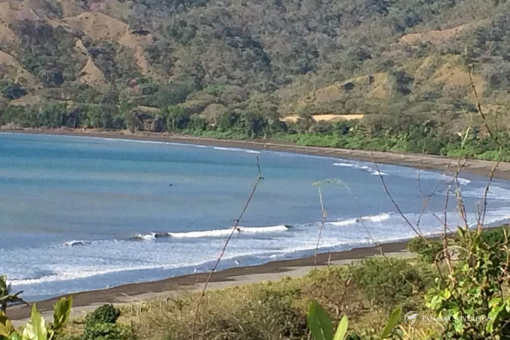 Land in Guanico - photo 4