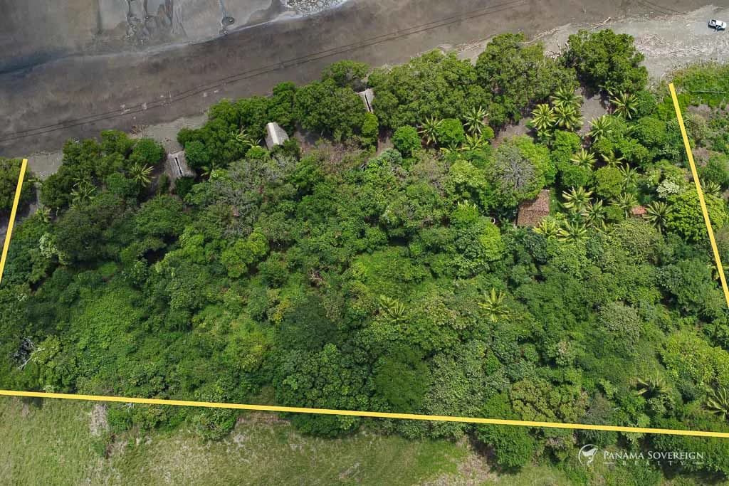 Land in Guanico - photo 6