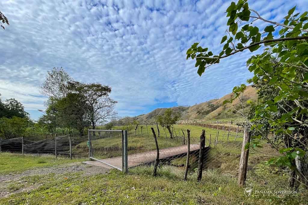 Land in Cambutal - photo 2