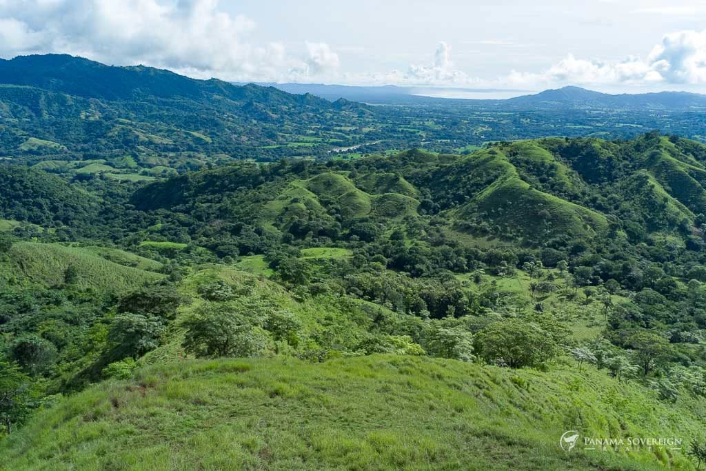 Land in Cambutal - photo 4