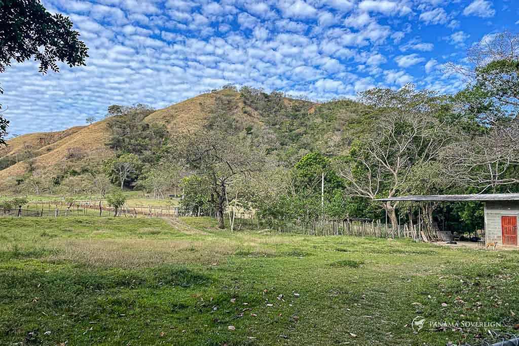 Land in Cambutal - photo 3