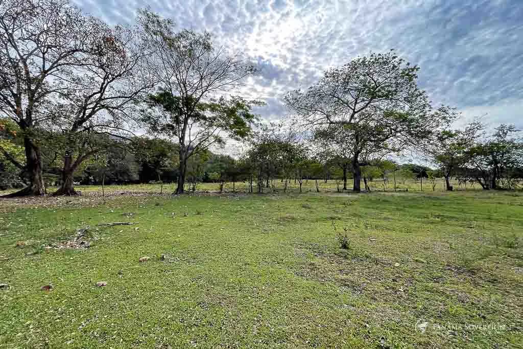 Land in Cambutal - photo 11