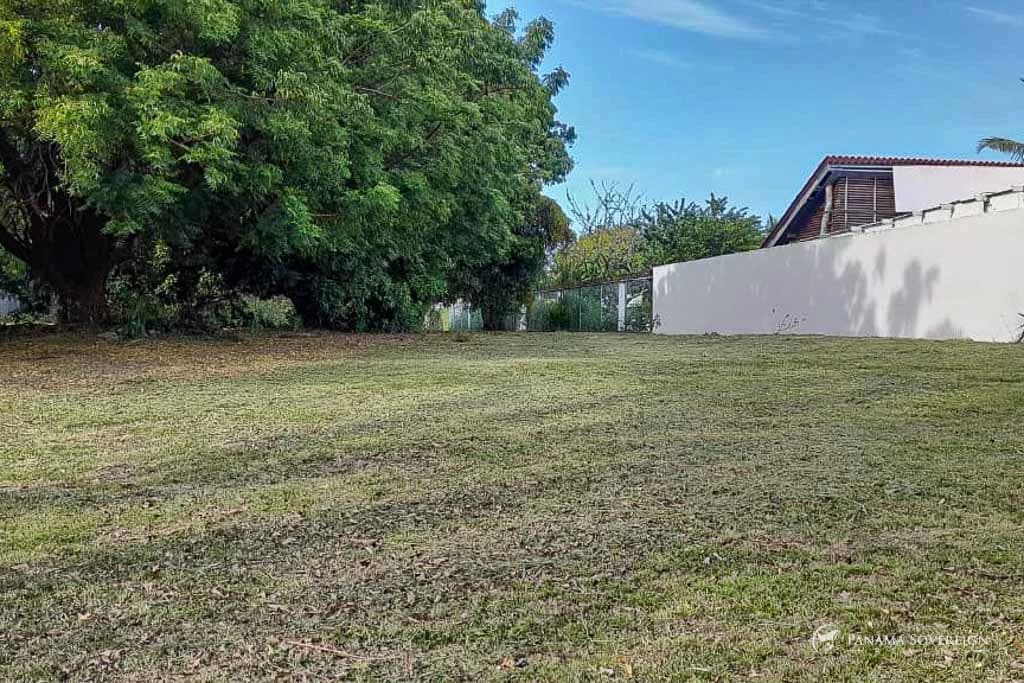 Land in Coronado - photo 12
