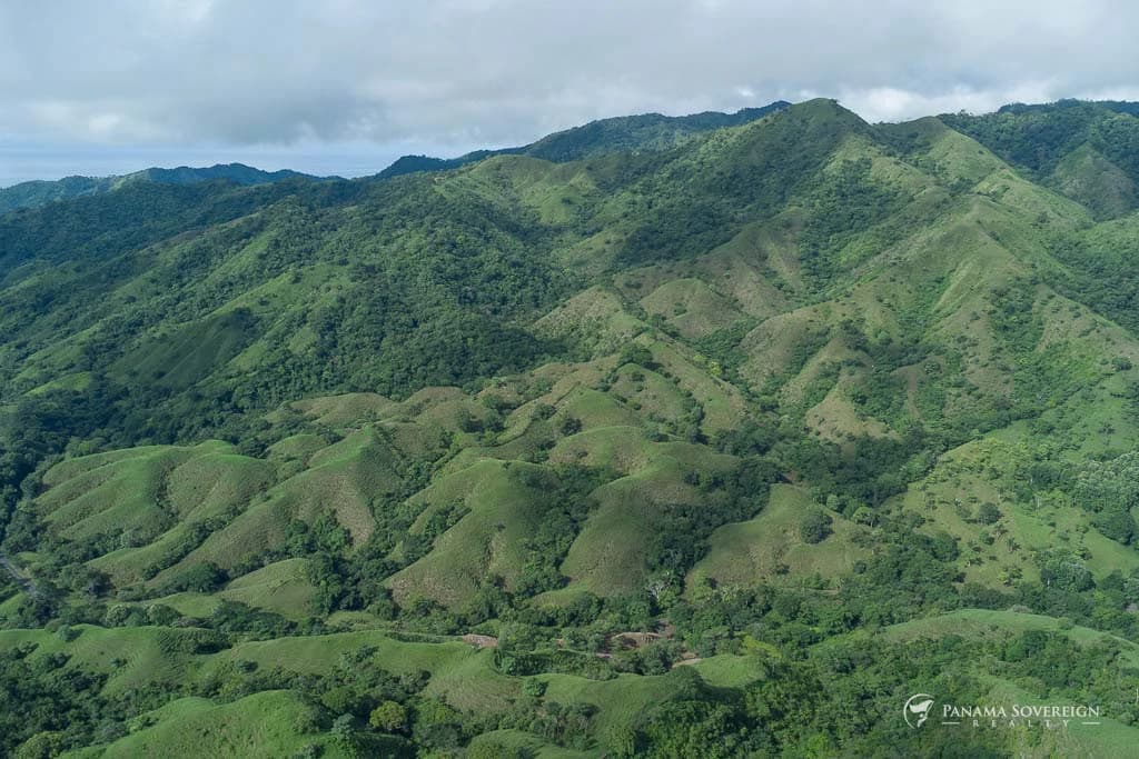 Land in Cambutal - photo 6