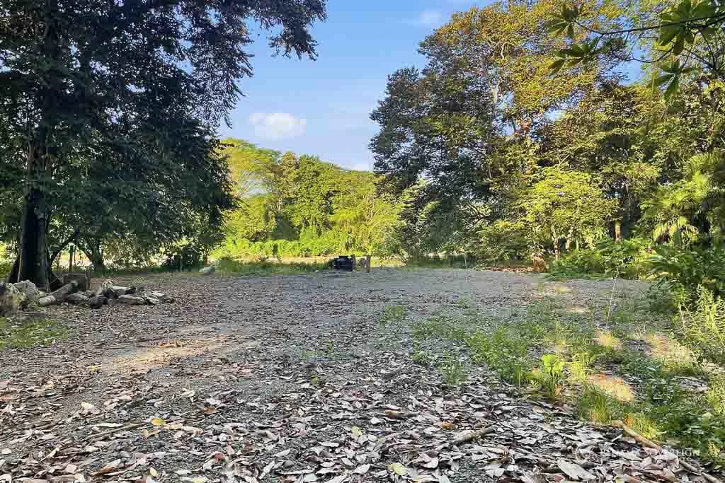 Land in Guanico - photo 5