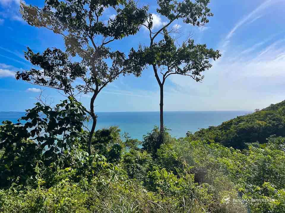 Land in Bucaro - photo 16