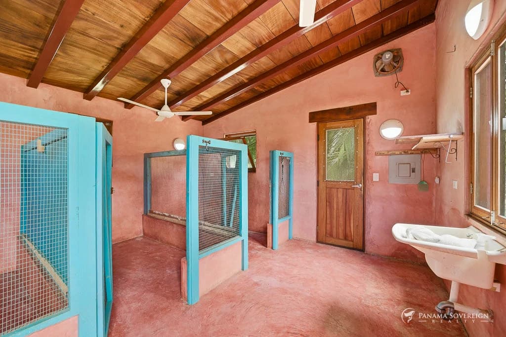 4 Bedroom House in Pedasi - photo 28