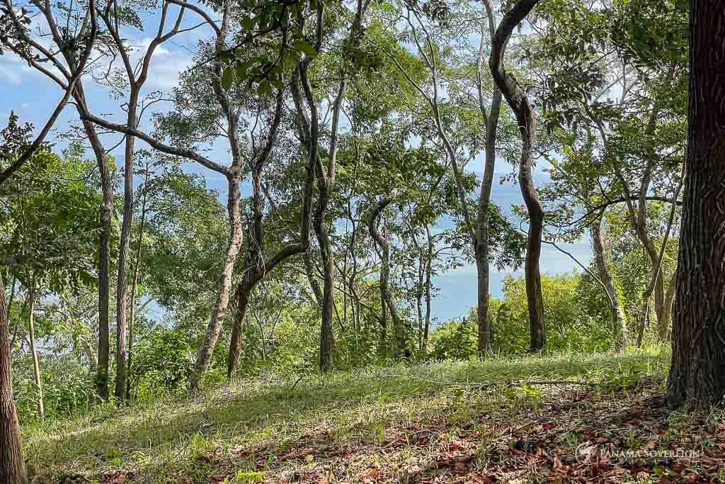 Land in Bucaro - photo 9