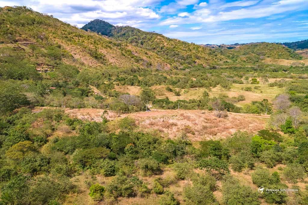 Land in Canas - photo 7
