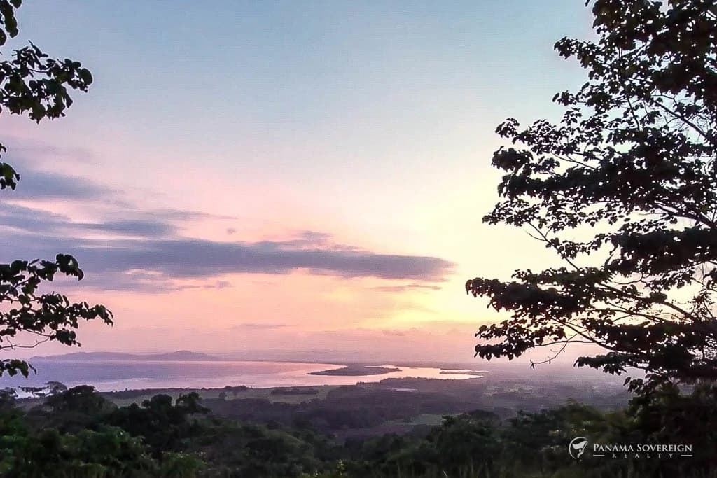 Land in Canas - photo 14